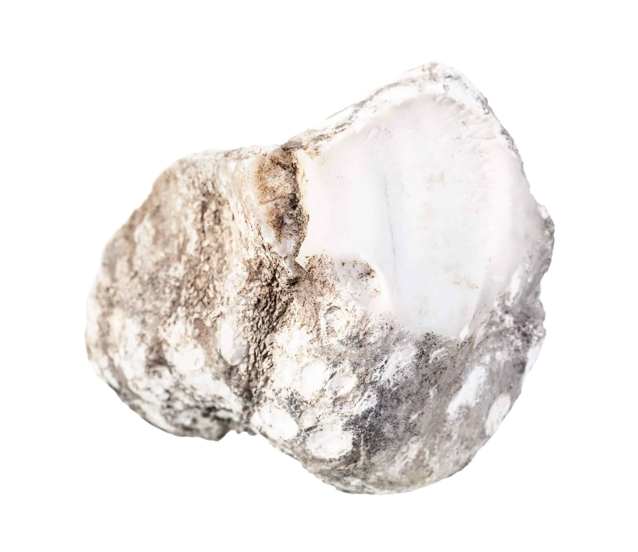 nacre-pierre.jpg