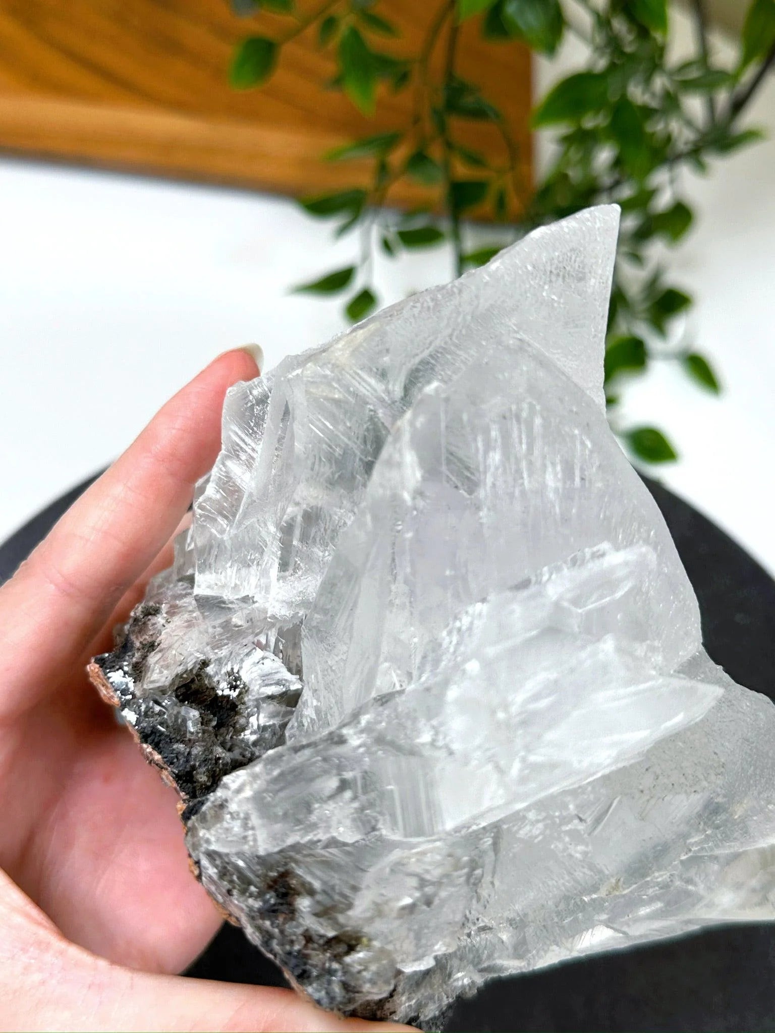 naica-selenite-2-naica-mine-naica-selenite-once-in-a-blue-moon-one-of-a-kind-recently-added-selenite-the-mineral-maven-2.webp